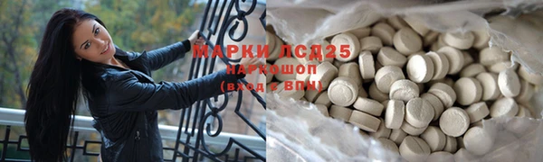 прущие грибы Вязьма