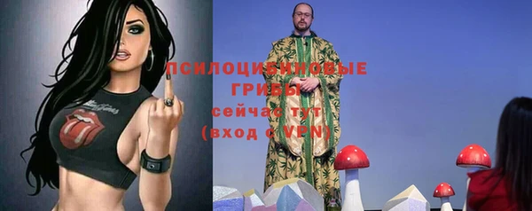 ешки Волоколамск