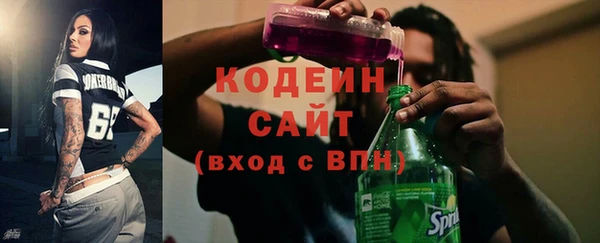прущие грибы Вязьма