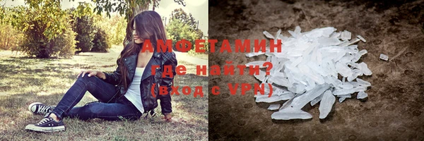 прущие грибы Вязьма