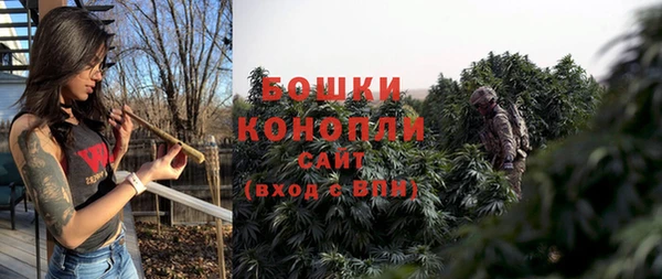 прущие грибы Вязьма