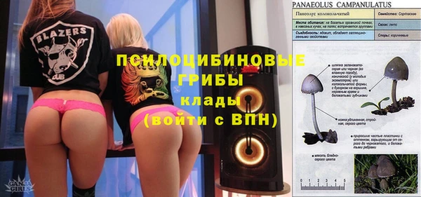 spice Володарск