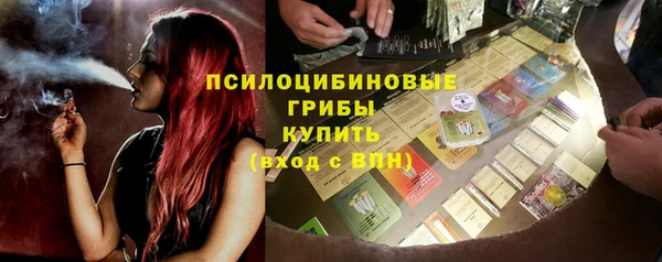 прущие грибы Вязьма