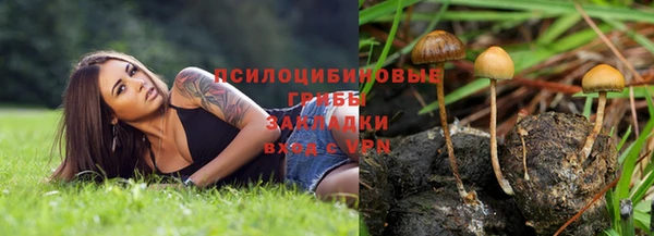 spice Володарск